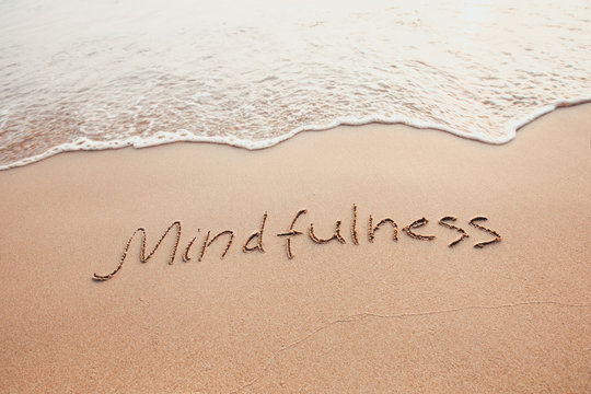 Mindfulness and Compassion for Well-Being Workshop