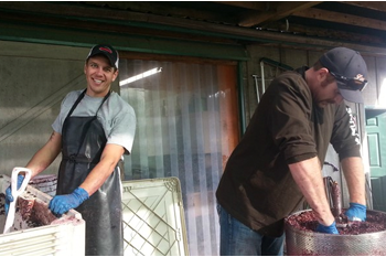 Dauntless Wine Co. Shares Their Story on KGW News