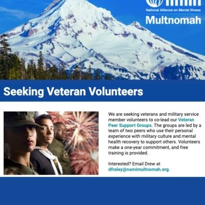 NAMI Veteran Programs